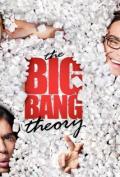 The Big Bang Theory S01E11