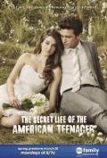The Secret Life of The American Teenager S02E17
