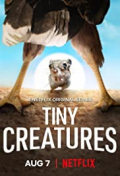 Tiny Creatures S01E06