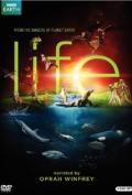 BBC Life 08 - Creatures of the Deep