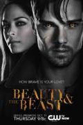 Beauty and the Beast S01E04 - Basic Instinct