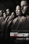 Grey's Anatomy S09E17 Transplant Wasteland