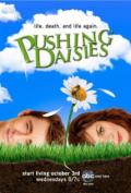 Pushing Daisies S01E08 - Bitter Sweets